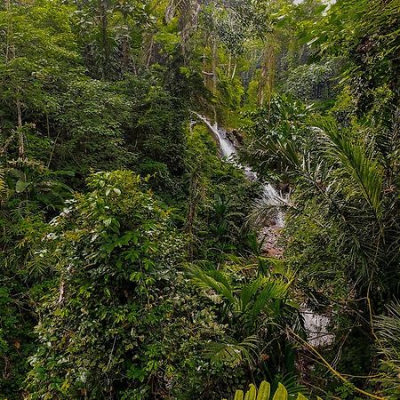 The Sebali Resort Ubud Eksteriør bilde A waterfall in the park