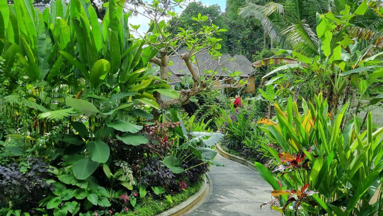 The Sebali Resort Ubud Eksteriør bilde A path in the park