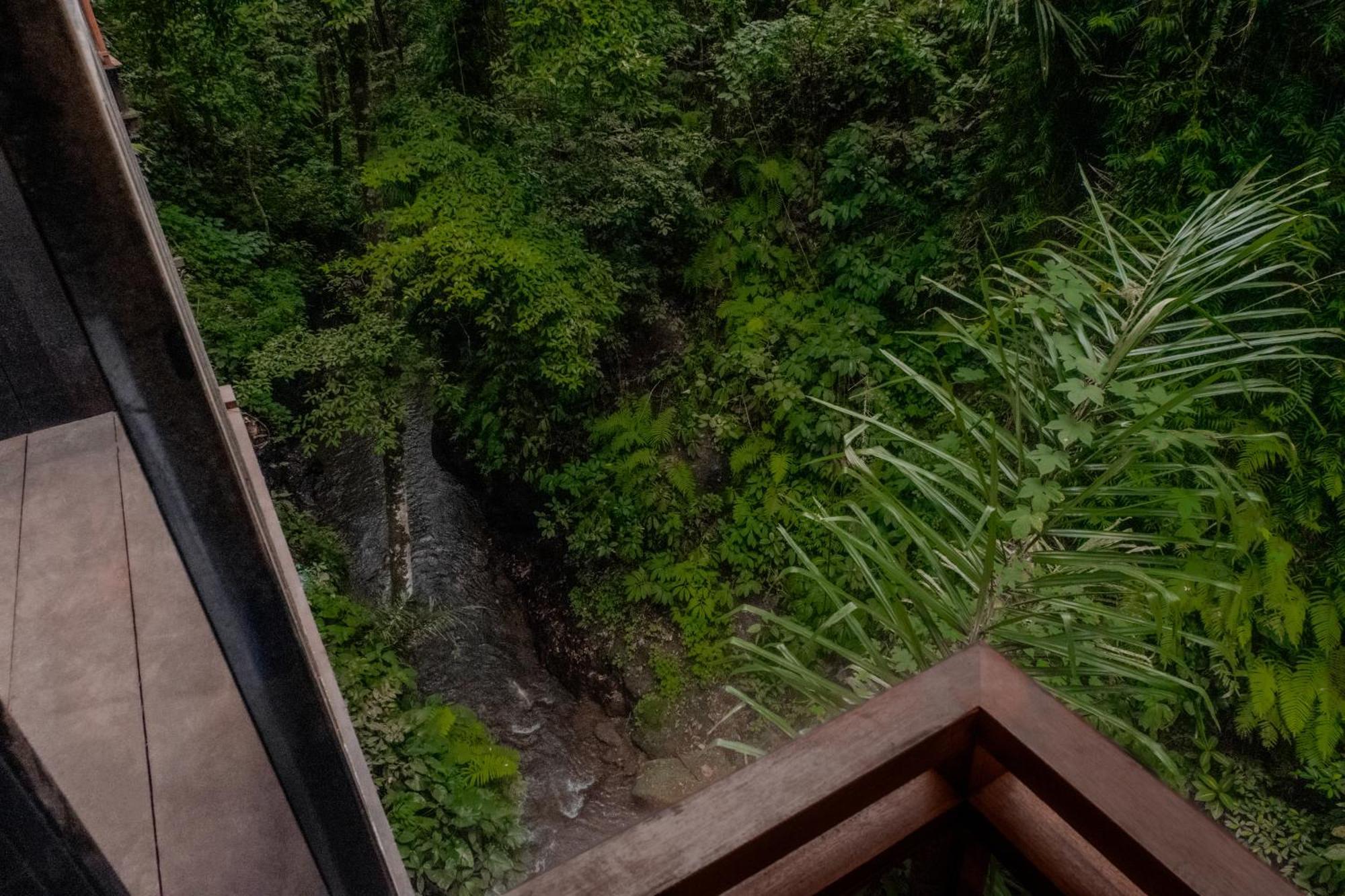 The Sebali Resort Ubud Eksteriør bilde The view from the observation deck
