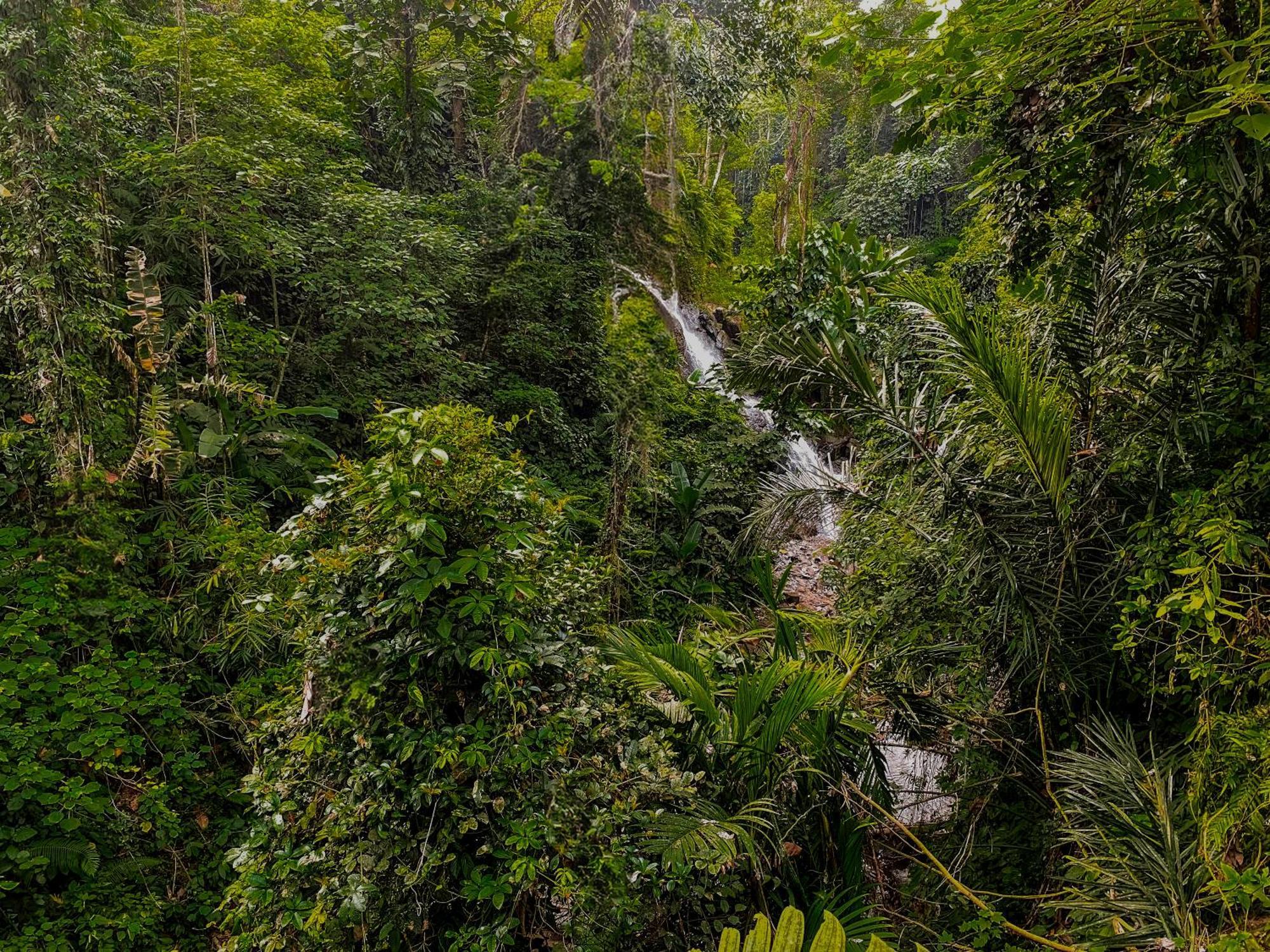 The Sebali Resort Ubud Eksteriør bilde A waterfall in the park